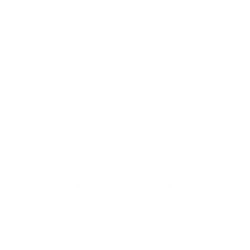 Toronto Best Painter-neg
